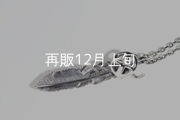 画像3:  千年フェザー (LL1buffスカル×メディスン) ペンダント『チェーン50cm』  (3)