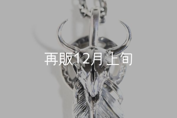 画像5:  千年フェザー (LL1buffスカル×メディスン) ペンダント『チェーン50cm』  (5)