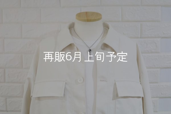 画像6: 千年フェザー(M2オニキス) ペンダント 『チェーン45cm』  (6)