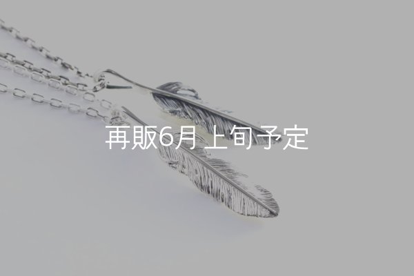 画像2: 千年フェザー(MM1)ペンダント 『チェーン45cm』  (2)