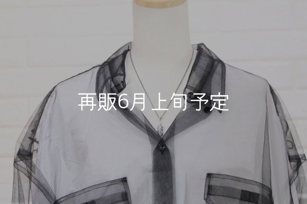 画像5: 千年フェザー(MM1)ペンダント 『チェーン45cm』  (5)