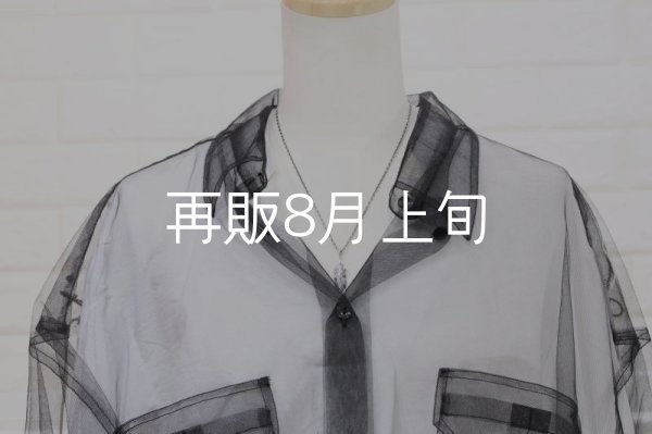 画像5: 千年フェザー(MM1)ペンダント 『チェーン45cm』  (5)