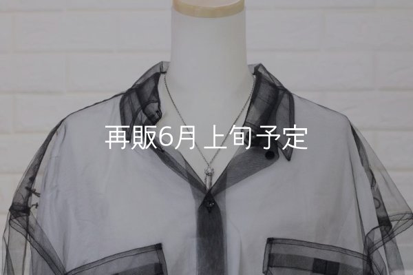 画像6: 千年フェザー(MM2)  マグネサイトペンダント 『チェーン45cm』  (6)