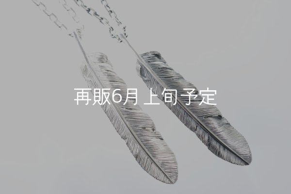 画像4: 千年フェザー(XL1)ペンダント 『チェーン50cm』  (4)