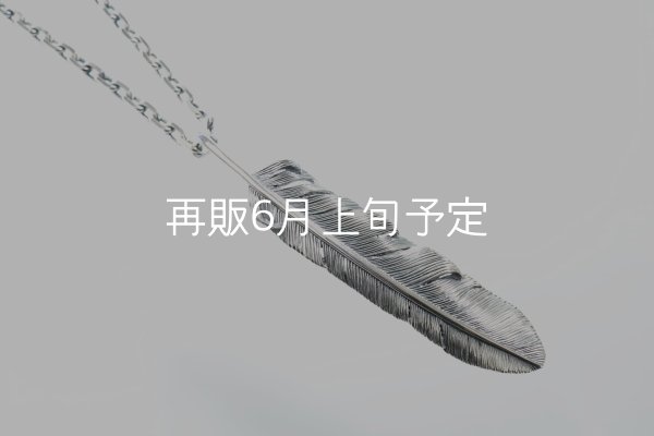 画像1: 千年フェザー(XL1)ペンダント 『チェーン50cm』  (1)