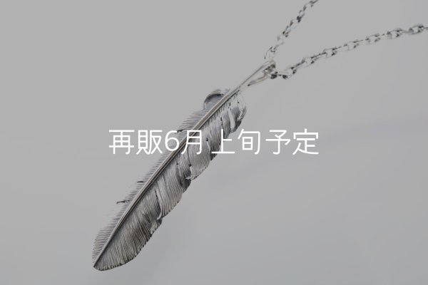 画像2: 千年フェザー(XL1)ペンダント 『チェーン50cm』  (2)