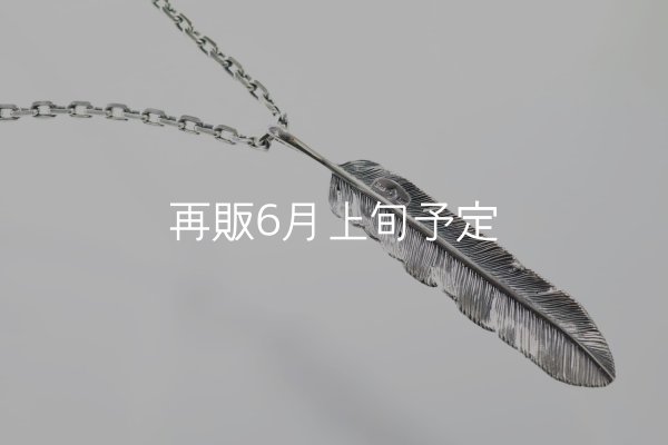 画像3: 千年フェザー(XL1)ペンダント 『チェーン50cm』  (3)