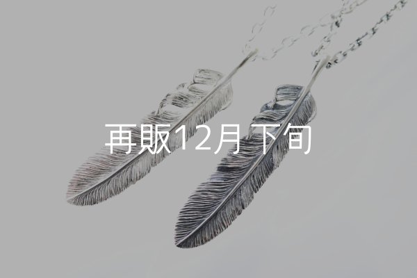 画像4: 千年フェザー(XL2)ペンダント 『チェーン50cm』  (4)