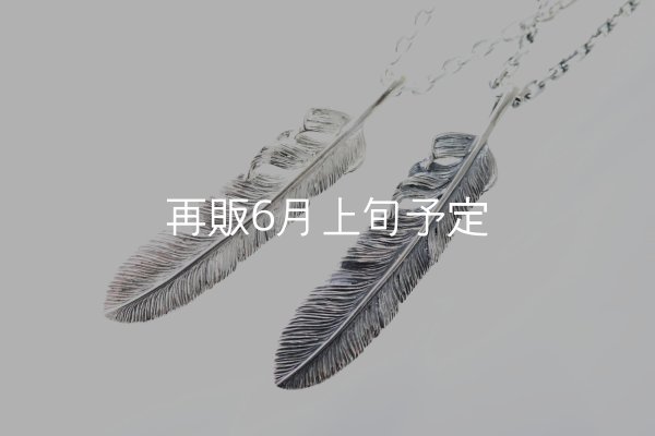 画像4: 千年フェザー(XL2)ペンダント 『チェーン50cm』  (4)