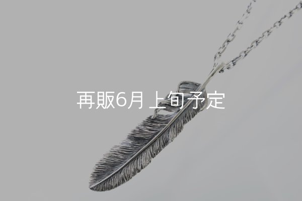 画像1: 千年フェザー(XL2)ペンダント 『チェーン50cm』  (1)