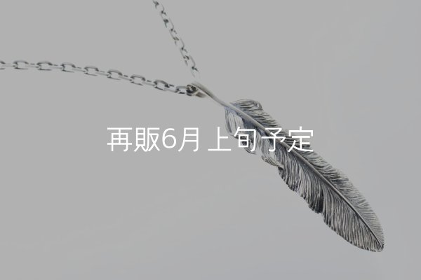 画像2: 千年フェザー(XL2)ペンダント 『チェーン50cm』  (2)