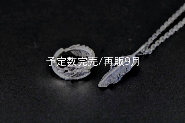 画像1: オーダー商品  (1)
