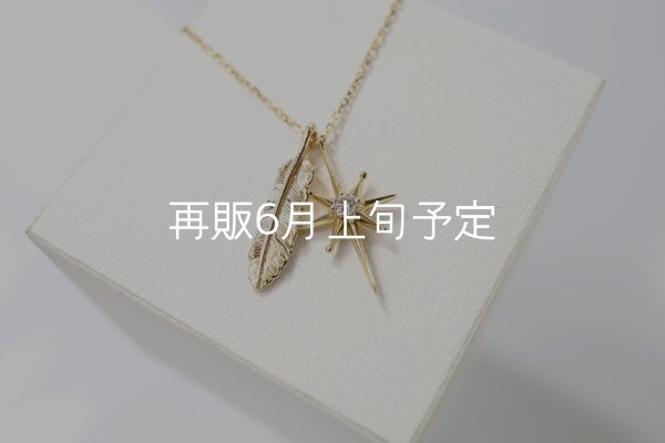 画像1: SUNジュエル × フェザーネックレス ｜K10YG × ダイヤモンド｜  (1)