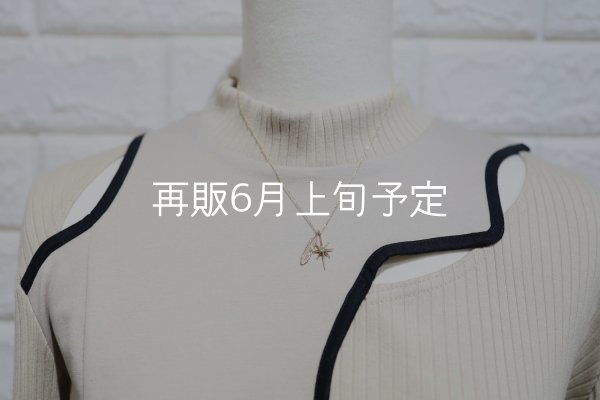 画像3: SUNジュエル × フェザーネックレス ｜K10YG × ダイヤモンド｜  (3)