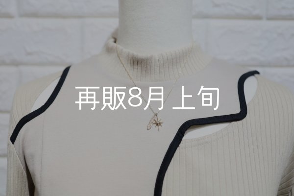 画像3: SUNジュエル × フェザーネックレス ｜K10YG × ダイヤモンド｜  (3)
