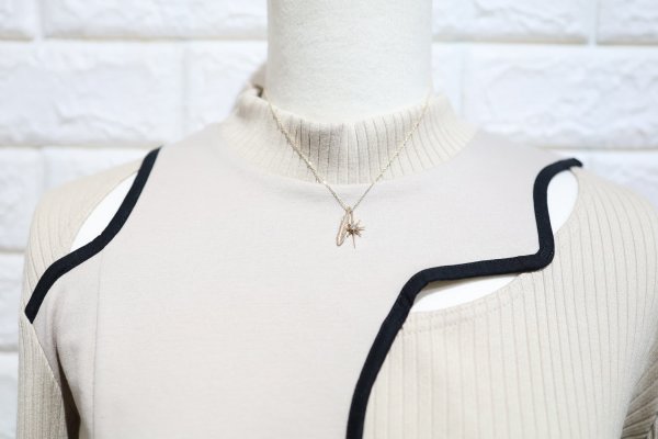 画像4: SUNジュエル × フェザーネックレス |K10YG × ダイヤモンド|  (4)