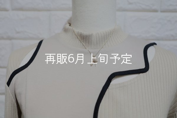 画像4: SUNジュエル × フェザーネックレス ｜K10YG × ダイヤモンド｜  (4)