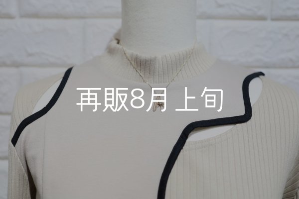 画像4: SUNジュエル × フェザーネックレス ｜K10YG × ダイヤモンド｜  (4)