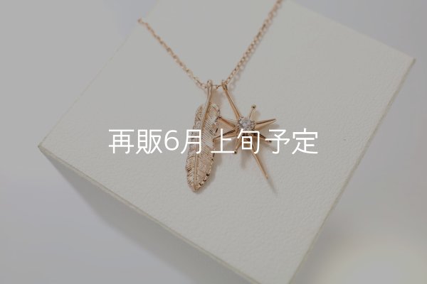 画像1: SUNジュエル × フェザーネックレス ｜K10PG × ダイヤモンド｜  (1)