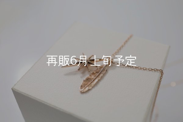 画像2: SUNジュエル × フェザーネックレス ｜K10PG × ダイヤモンド｜  (2)