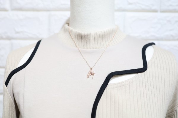 画像3: SUNジュエル × フェザーネックレス |K10PG × ダイヤモンド|  (3)