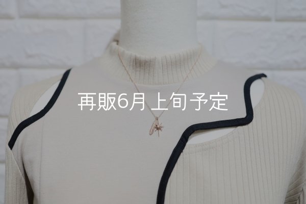 画像3: SUNジュエル × フェザーネックレス ｜K10PG × ダイヤモンド｜  (3)