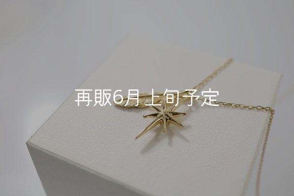 画像2: SUNジュエル × フェザーネックレス ｜K18YG × ダイヤモンド｜  (2)