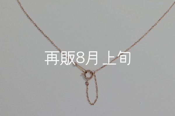 画像9: Wフェザーネックレス(マイクロ) ｜K10PG｜  (9)