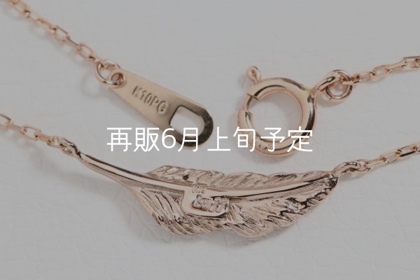 画像5: ミニマムフェザーネックレス ｜K10PG｜  ■雑誌掲載  (5)