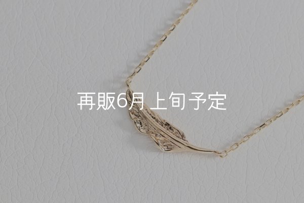 画像2: ミニマムフェザーネックレス ｜K10YG｜  (2)
