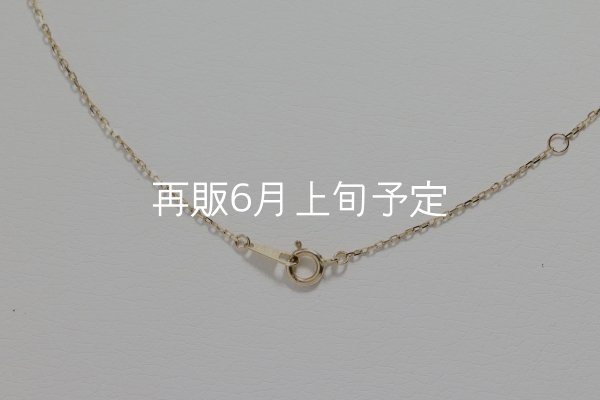 画像7: ミニマムフェザーネックレス ｜K10YG｜  (7)
