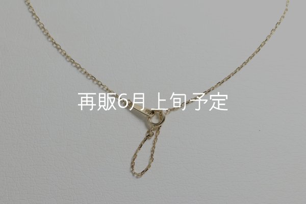 画像8: ミニマムフェザーネックレス ｜K10YG｜  (8)