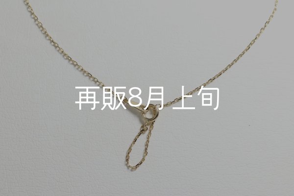 画像6: マイクロフェザーネックレス ｜K10YG｜  (6)
