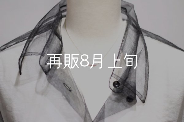 画像10: ミニマムフェザーネックレス ｜K10YG｜  (10)