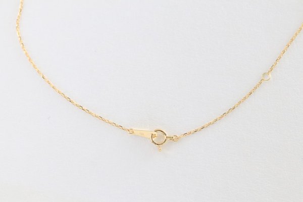 画像6: ミニマムフェザーネックレス |K18YG|  (6)