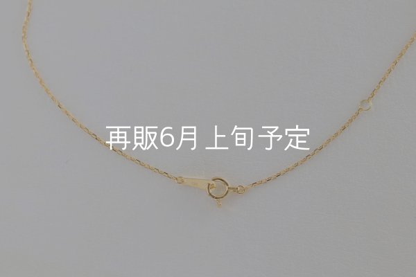 画像6: ミニマムフェザーネックレス ｜K18YG｜  (6)