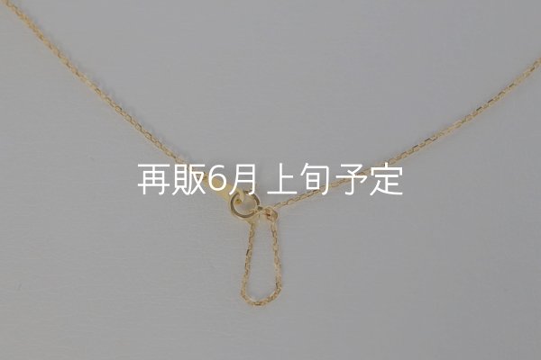 画像7: ミニマムフェザーネックレス ｜K18YG｜  (7)