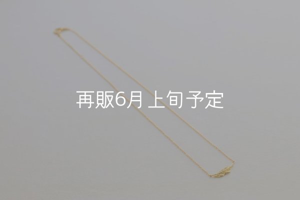 画像4: ミニマムフェザーネックレス ｜K18YG｜  (4)