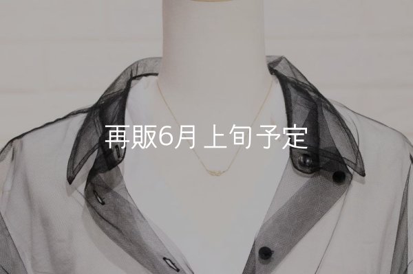 画像8: ミニマムフェザーネックレス ｜K18YG｜  (8)