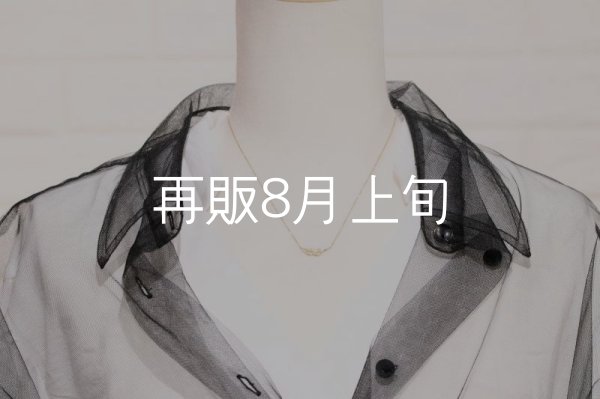 画像8: ミニマムフェザーネックレス ｜K18YG｜  (8)