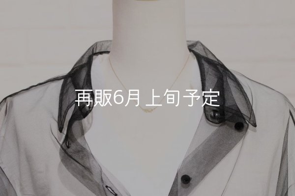 画像9: ミニマムフェザーネックレス ｜K18YG｜  (9)