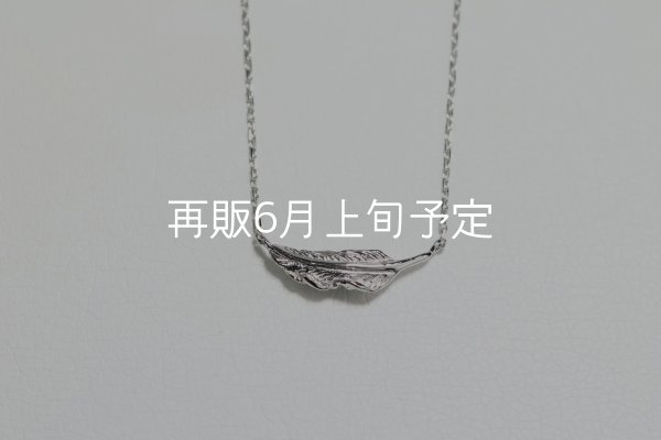 画像1: ミニマムフェザーネックレス ｜Pt900｜  (1)