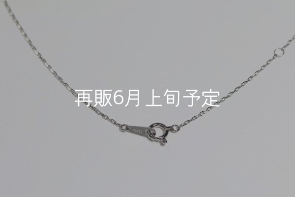 画像5: マイクロフェザーネックレス ｜Pt900｜  (5)