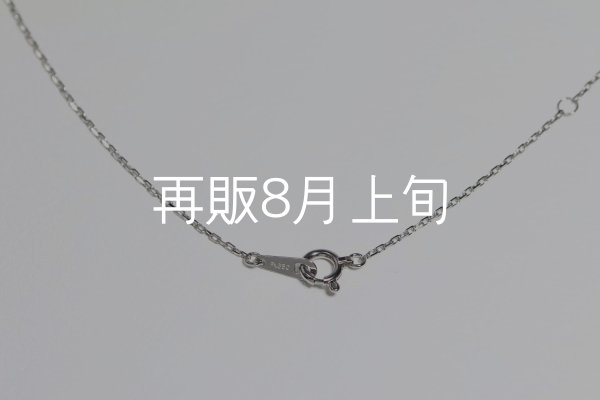 画像6: ミニマムフェザーネックレス ｜Pt900｜  (6)