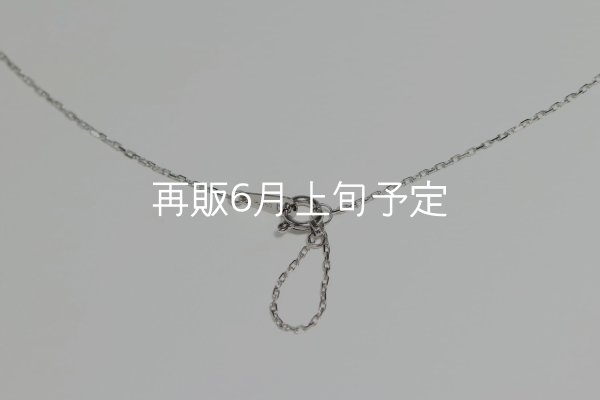 画像6: マイクロフェザーネックレス ｜Pt900｜  (6)