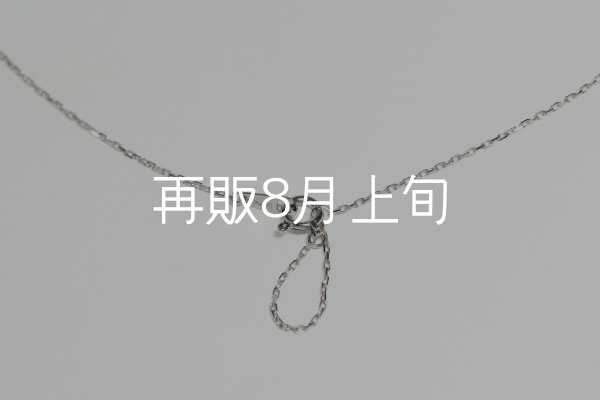 画像7: ミニマムフェザーネックレス ｜Pt900｜  (7)