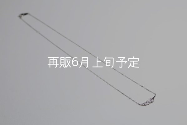 画像8: ミニマムフェザーネックレス ｜Pt900｜  (8)