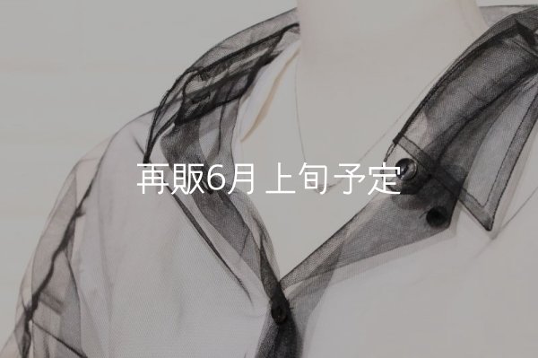 画像9: ミニマムフェザーネックレス ｜Pt900｜  (9)