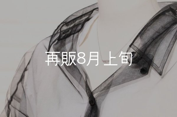 画像9: ミニマムフェザーネックレス ｜Pt900｜  (9)