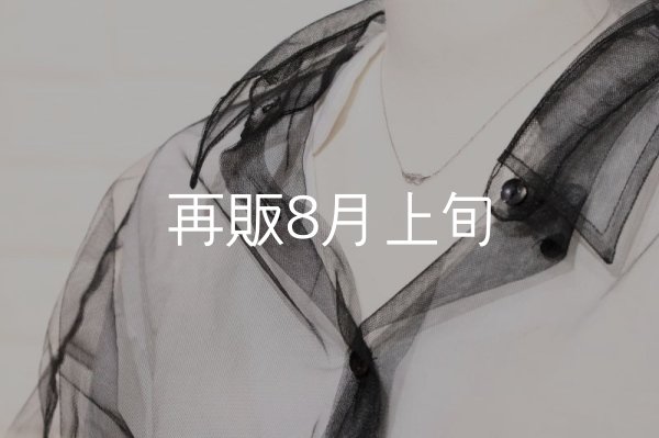 画像10: ミニマムフェザーネックレス ｜Pt900｜  (10)
